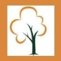 Head4Heights Tree Surgery logo