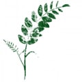 Acacia Gardens logo