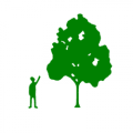 Christopher Hoare Tree Services logo