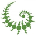 DD Architects Didacious Designs logo