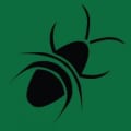 Pest Solution logo