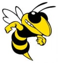 Bee Wise Security logo