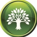 Willow Landscape Gardeners logo