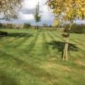 Kins Lawn Cutting logo