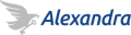 Alexandra Security logo
