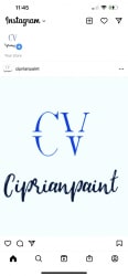 Ciprian Paint Logo