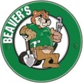 Bespoke Garden and Property Maintenance logo