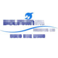 Dolphinlifts Midlands logo
