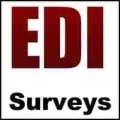 E D I Surveys logo