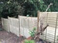 Ascot Fencing and Gates logo
