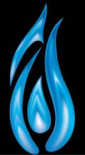 Central Gas Solutions logo