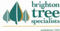Brighton Tree Specialists logo