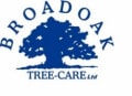 Broad Oak Tree-Care logo