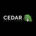Cedar Tree Care logo