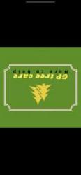 GP Tree Care logo