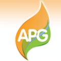 APG Domestic Services. logo