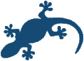 BlueGecko Architecture logo