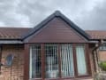 TS Roofing and Building logo