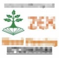 Zex Wood Flooring logo