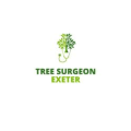 Tree Surgeon Exeter logo