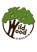 Wildwood Treecare logo