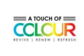 A Touch of Colour logo