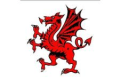 Dragon Roofing & Scaffolding logo