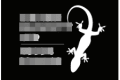 Lizard Security logo