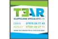 Tear Scaffolding Specialists logo