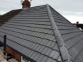 Daniel Roofing and Guttering logo