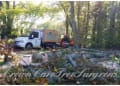 Crown Care Tree Surgeons logo