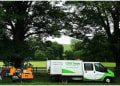 C&D Trees logo