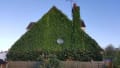 All Areas Tree Care & Landscapes logo