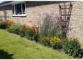 Paul Telfer GardenCare logo