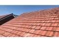 Sunlight Roofing Services logo
