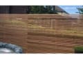 Peninsula Fencing logo