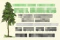 Arrowe Farm Tree Care logo