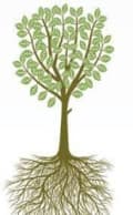 Wirral Tree And Hedge logo