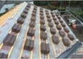Watertight Roofing Services logo