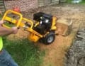 Tree Stump Removal Services Swindon logo