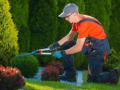 Oak Leaf Tree Surgeons logo