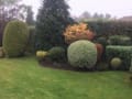 Garden Services Salisbury logo