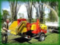 Evergreen Landscape And Tree Services logo