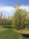 All Seasons Tree And Garden Care logo