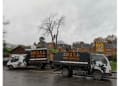 Wgs Tree Services logo