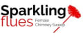 Sparkling Flues logo