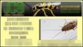 Jcs Pest Control logo