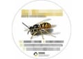 Mr Waspman Pest & Vermin Control logo