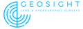 Geosight. logo