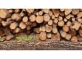 Tedds Tree Services logo